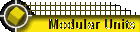Modular Units